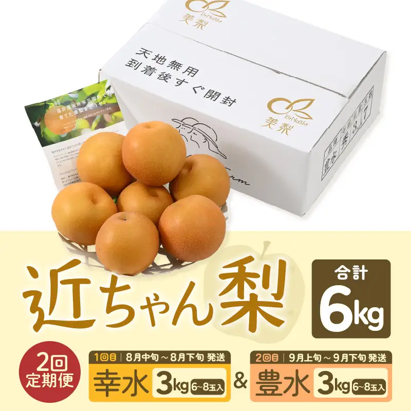 近ちゃん梨 食べ比べセット 合計6kg 【幸水・豊水】 各3kg 定期便2027年8月9月発送 [B-6304]