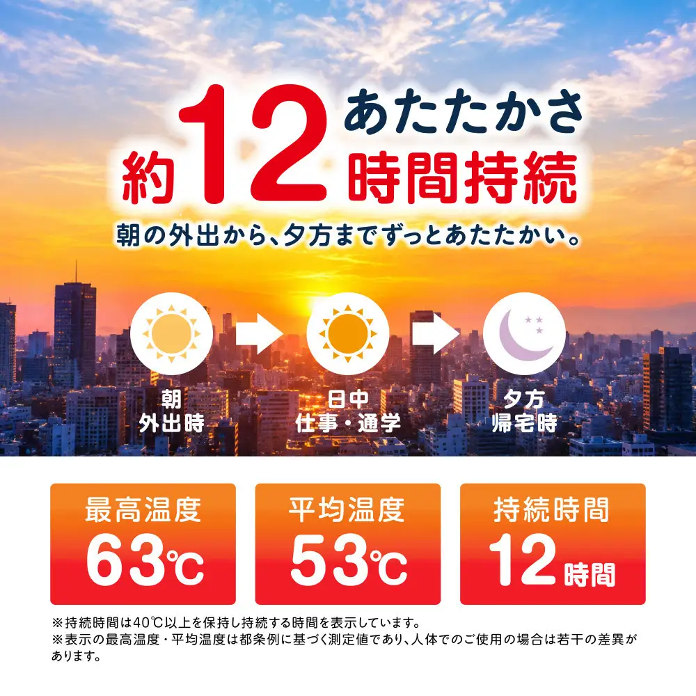 カイロ 240枚 ぽかぽか家族 貼るレギュラー 10枚×24袋 PKN-10HR