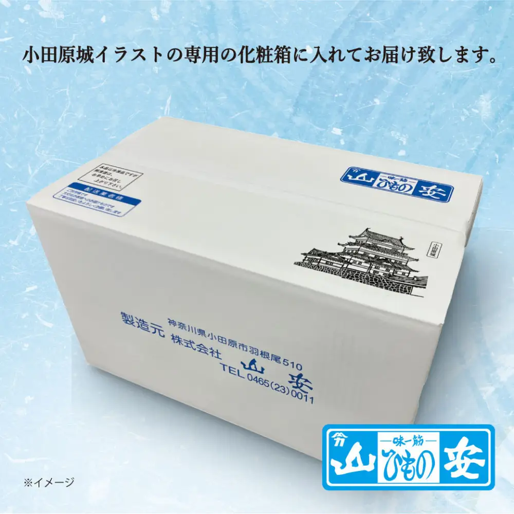 【 小田原 山安 】 老舗の干物屋が作った　サーモンハラス一夜干し　１．５ｋｇ