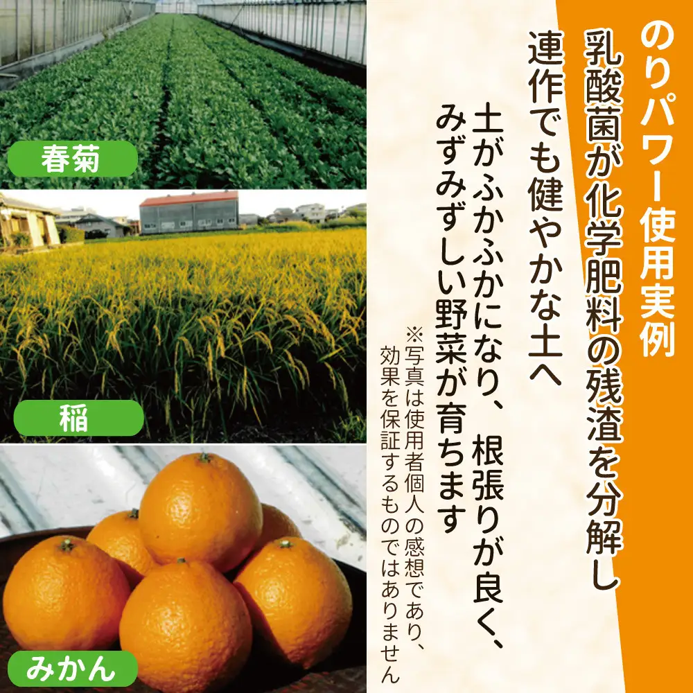 液体肥料　のりパワー500ml