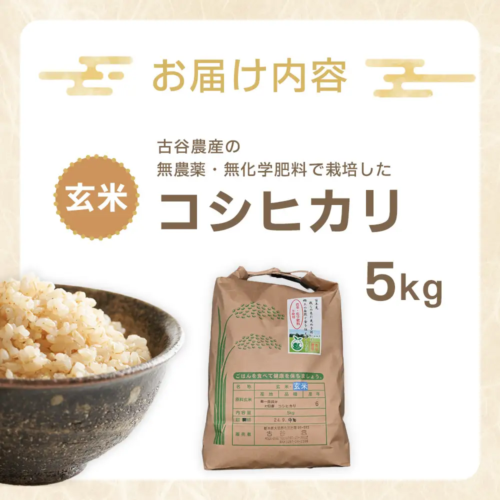【令和8年産米 数量限定】古谷農産の無農薬・無化学肥料で栽培したコシヒカリ（玄米5キロ） ｜米 コメ  5kgコシヒカリ こしひかり 農家直送 産地直送 産直