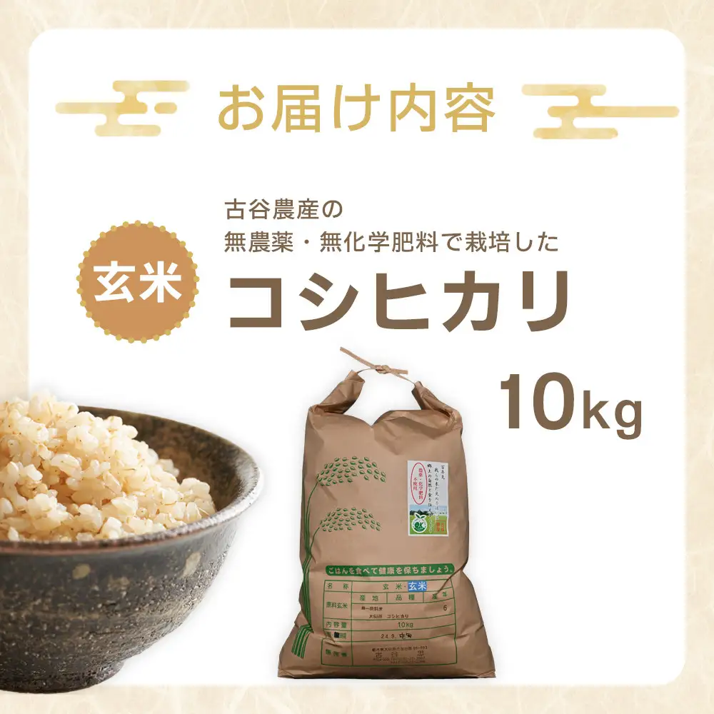 【令和8年産米 数量限定】古谷農産の無農薬・無化学肥料で栽培したコシヒカリ（玄米10キロ） ｜米 コメ  10kgコシヒカリ こしひかり 農家直送 産地直送 産直