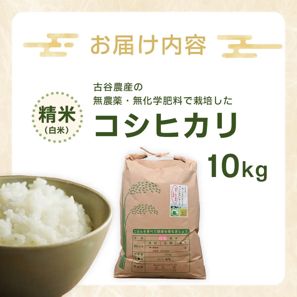 【令和8年産米 数量限定】古谷農産の無農薬・無化学肥料で栽培したコシヒカリ（精米10キロ） ｜米 コメ  白米 10kg コシヒカリ こしひかり 農家直送 産地直送 産直