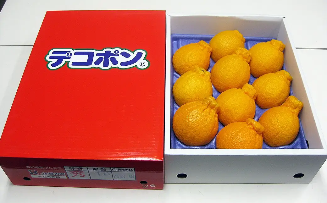 香川県産 ハウスデコポン 約3kg化粧箱　7-12玉入_Z2600576