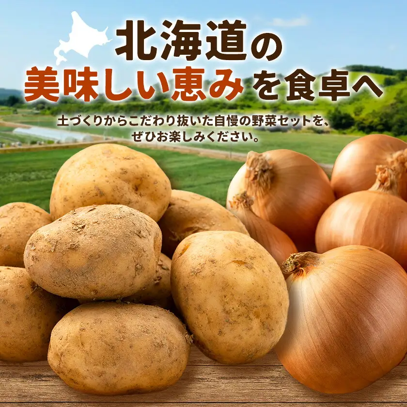 野菜 北海道野菜 じゃがいも 3kg 玉ねぎ 7kg 計10kg B&T TRADING株式会社