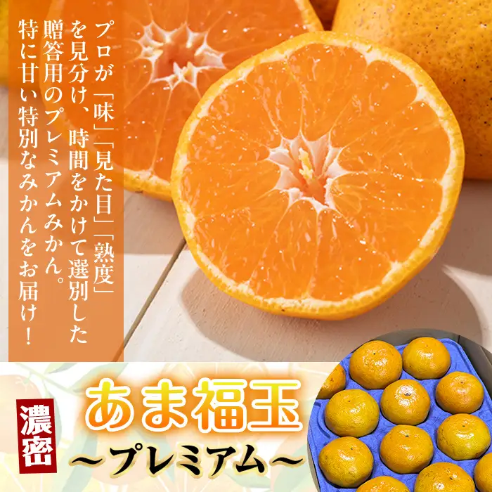 i1364-G 先行予約受付中！＜2026年11月中旬～2027年1月下旬の間に発送予定＞【特別栽培・最高金賞】【特別栽培・最高金賞】あめ玉みかん・大玉サイズ  あま福玉 ～プレミアム～ ( 紡 / 約2kg (15玉・2Lサイズ)) ミカン 果物 ギフト プレゼント 贈答用 贈り物 【Farmer friends Marche】