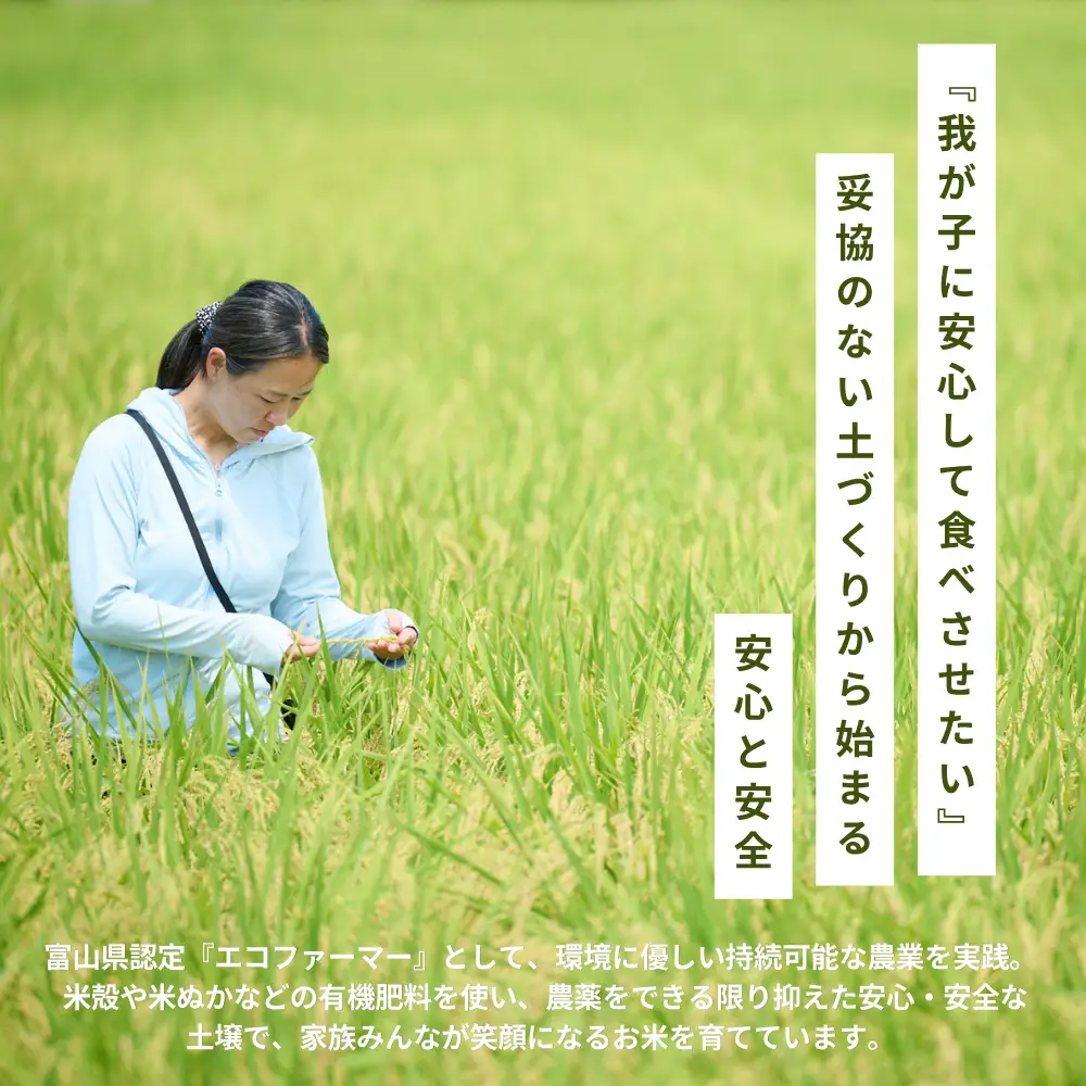 【食味検査Sランク】令和8年産 栽培期間中農薬不使用 上市町湯神子産コシヒカリ（白米）2kg 新米 2キロ こしひかり 白米 精米 おにぎり お弁当 農薬不使用 有機肥料 富山県産 富山県 上市町 湯神子 剱岳 雪解け水 富山米 国産 少量 お試し 一人暮らし 家族 毎日 低温乾燥 樋口農園 ソムリエH ごはんソムリエ 環境にやさしい 贈り物 ギフト 産地直送 ごはん 米 お米 こめ おこめ コメ