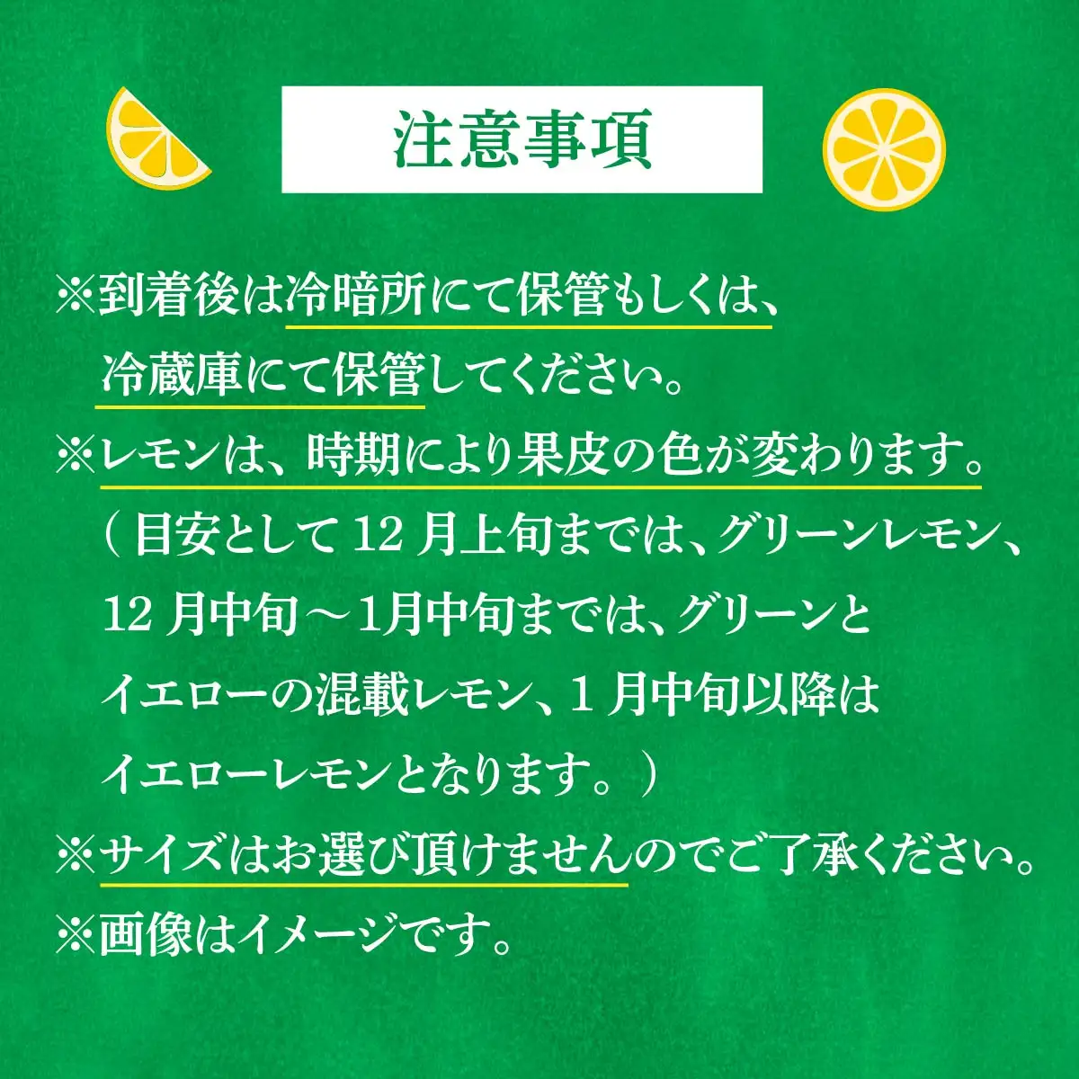 【配送エリア：北海道・沖縄・離島以外】青いレモンの島 レモン約3kg