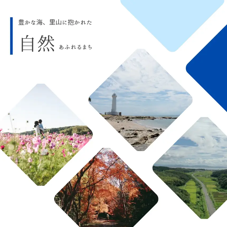 【 新米 令和8年産 】愛知県産 にじのきらめき 5kg｜米 