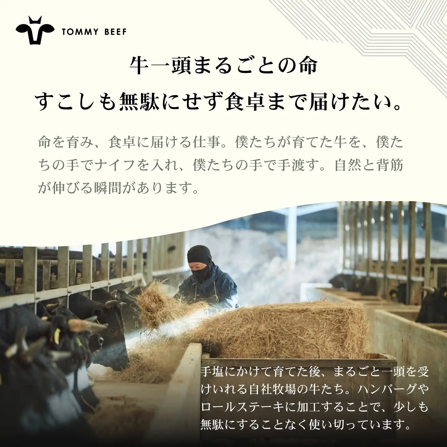 【牧場直送】佐賀産牛柔らかハンバーグ　4個：B100-085