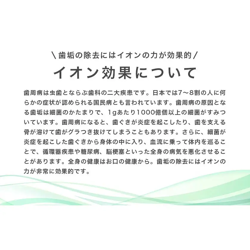 薄型極細コンパクト替えブラシセット 12本 アイオニック