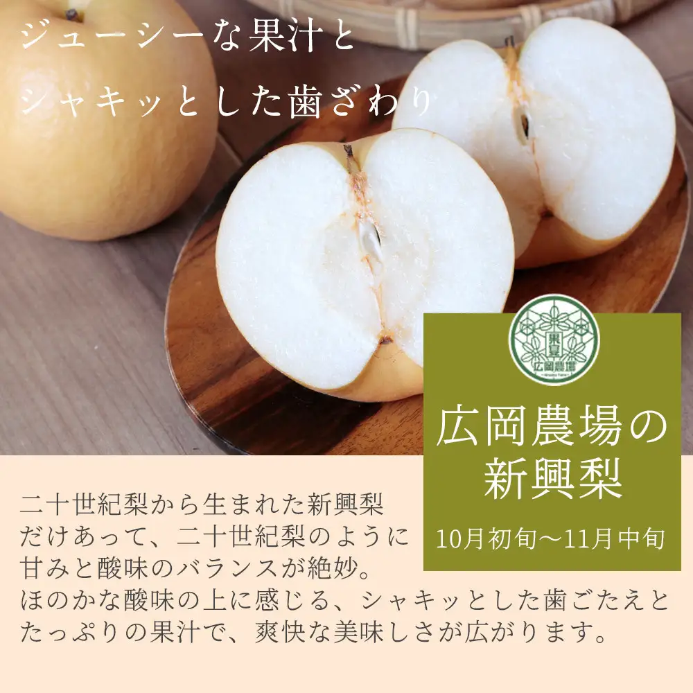 訳あり新興梨（2.5kg前後）【鳥取県 境港市】
