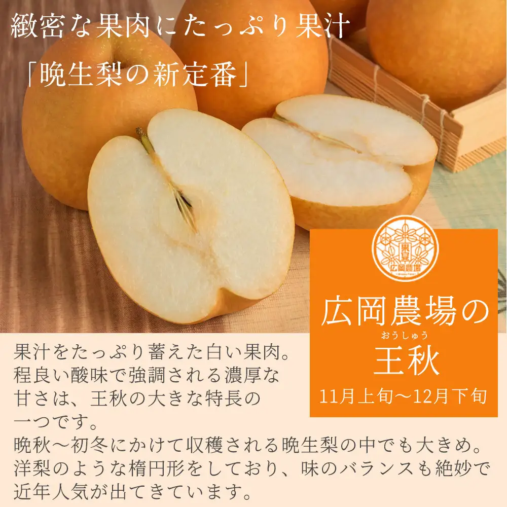 訳あり王秋梨（5kg前後)【鳥取県 境港市】