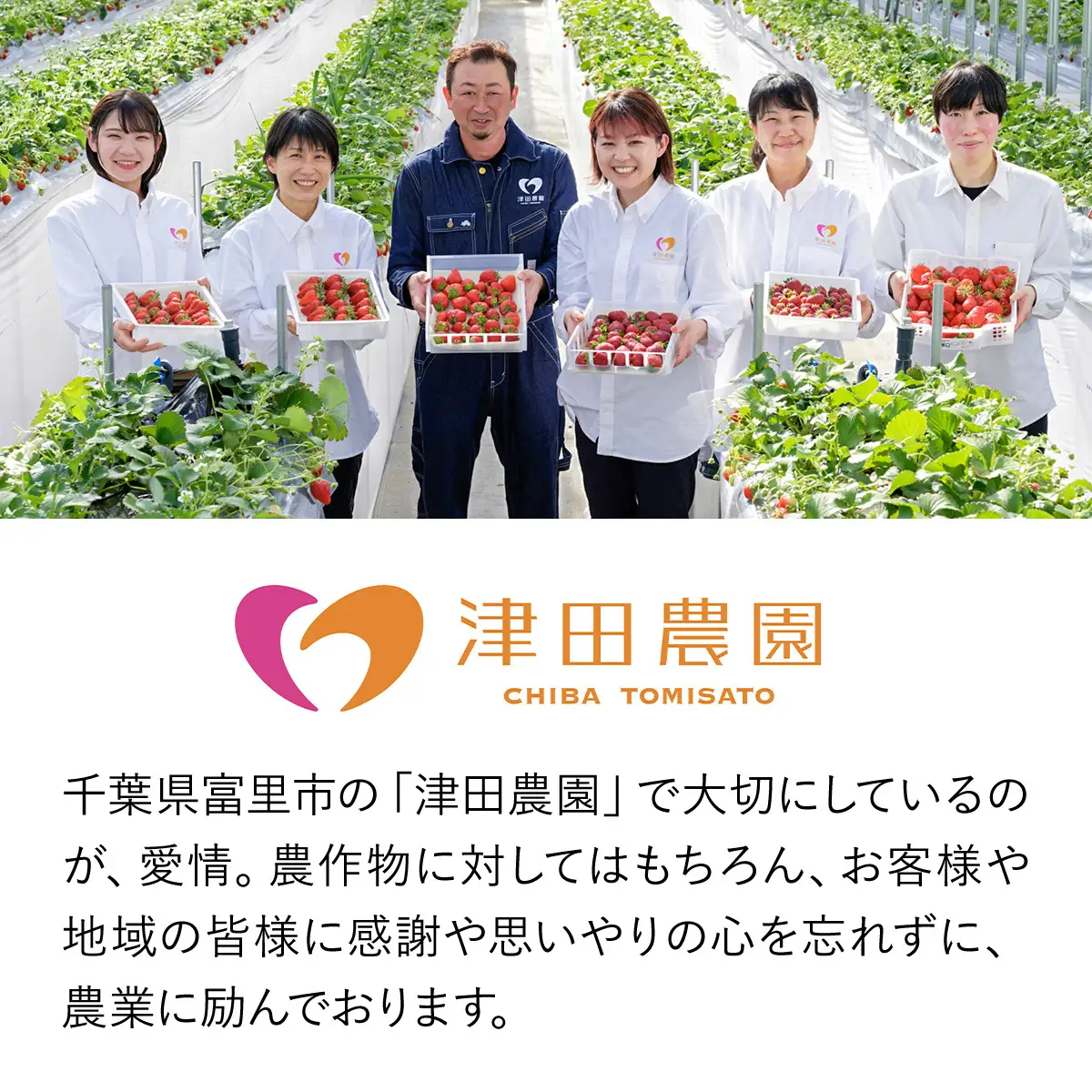 「真紅の美鈴」いちごジャム 4本セット TME015