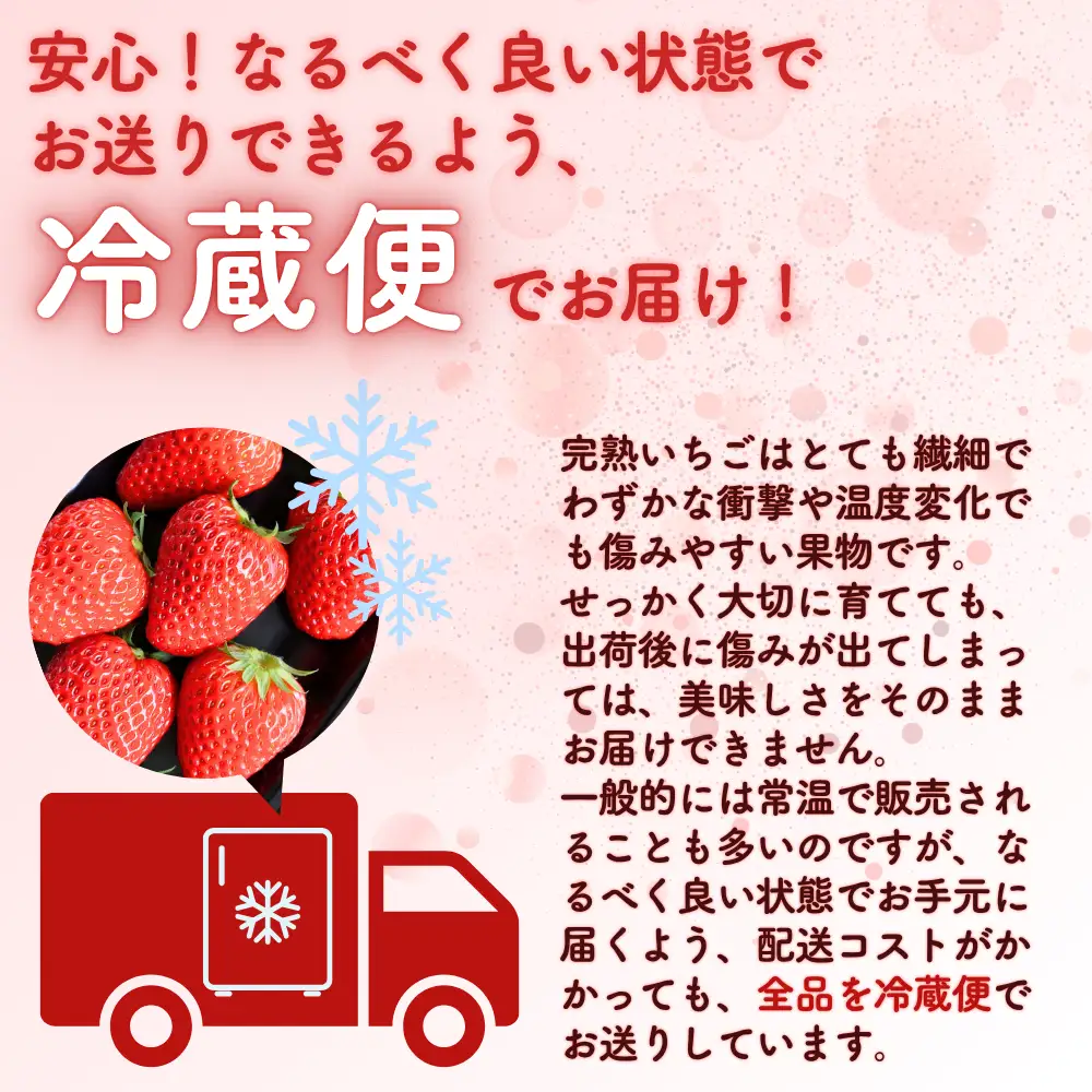 【3回定期便・2027年1月発送】先行予約 朝摘み 完熟いちご 自宅用 800g(200g×4)  M-FI-B11A