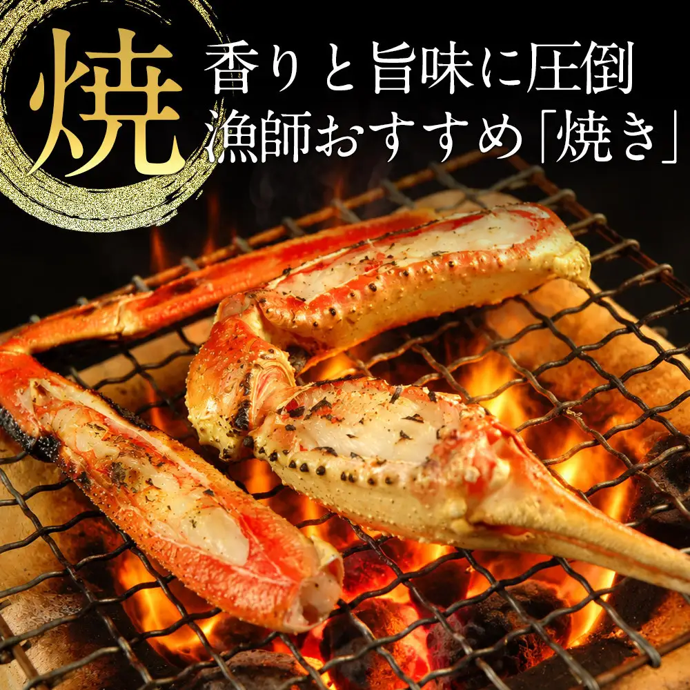 タグ付き 活生松葉蟹×1枚（650g前後）【鳥取県 境港市】