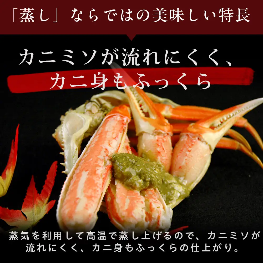 訳あり蒸し松葉蟹×10枚（2.5kg前後）【鳥取県 境港市】