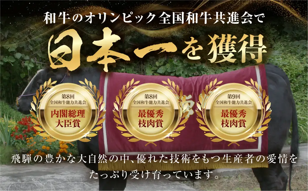 飛騨牛 こま切れ 1kg  小間切れ