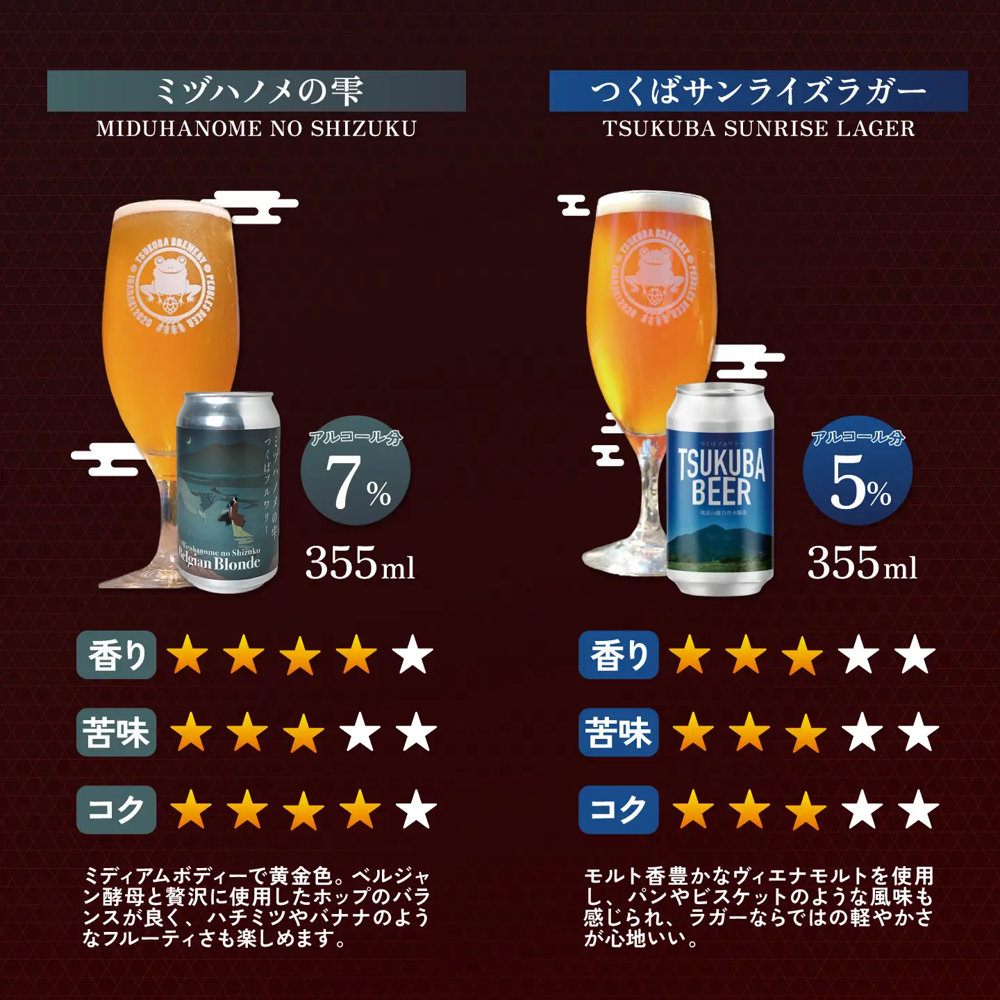 【6回定期便】クラフトビール 12本 つくばブルワリー ビール