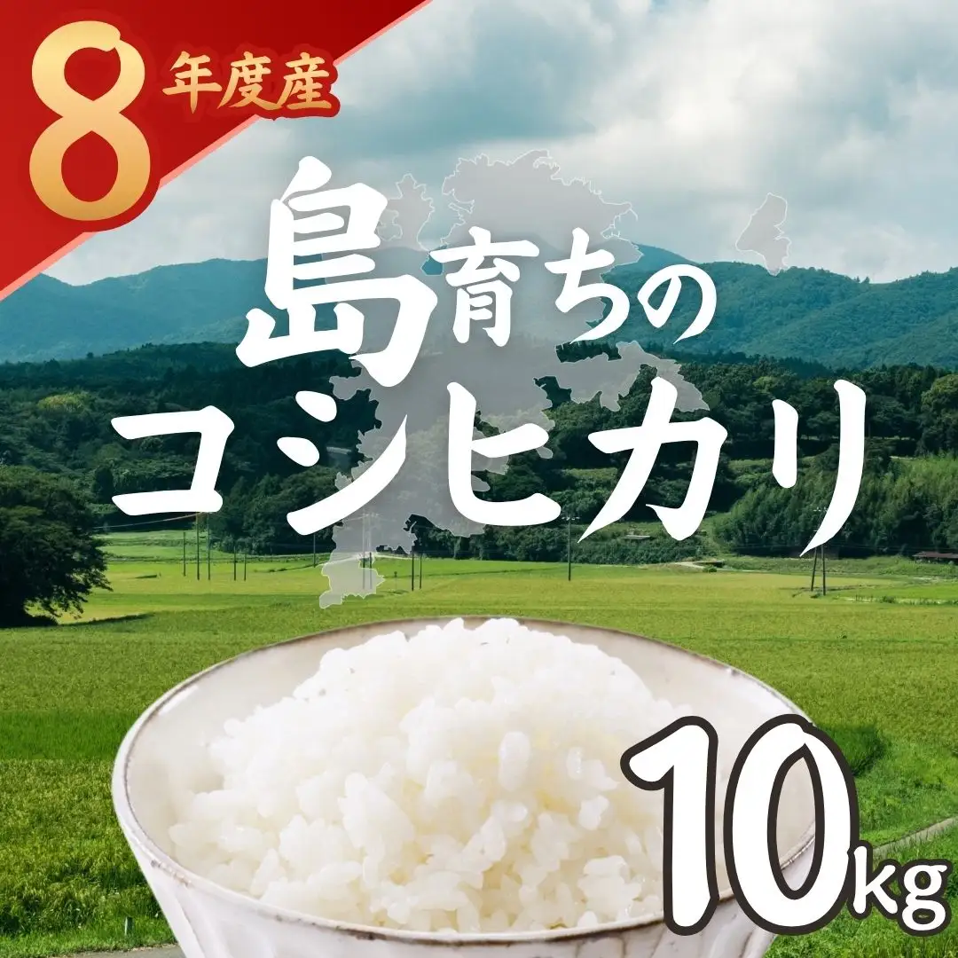 【令和8年度産】お米 コシヒカリ 10kg  精米