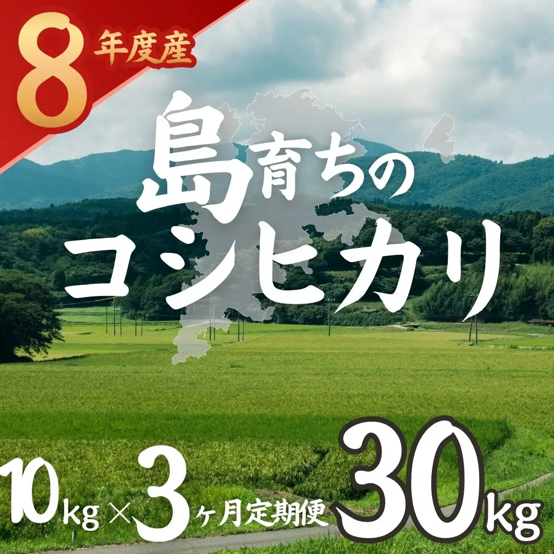 【令和8年度産】お米 コシヒカリ 10kg×3か月  精米