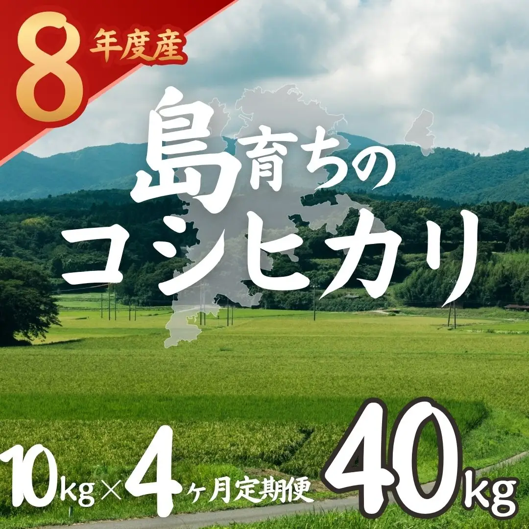 【令和8年度産】お米 コシヒカリ 10kg×4か月  精米
