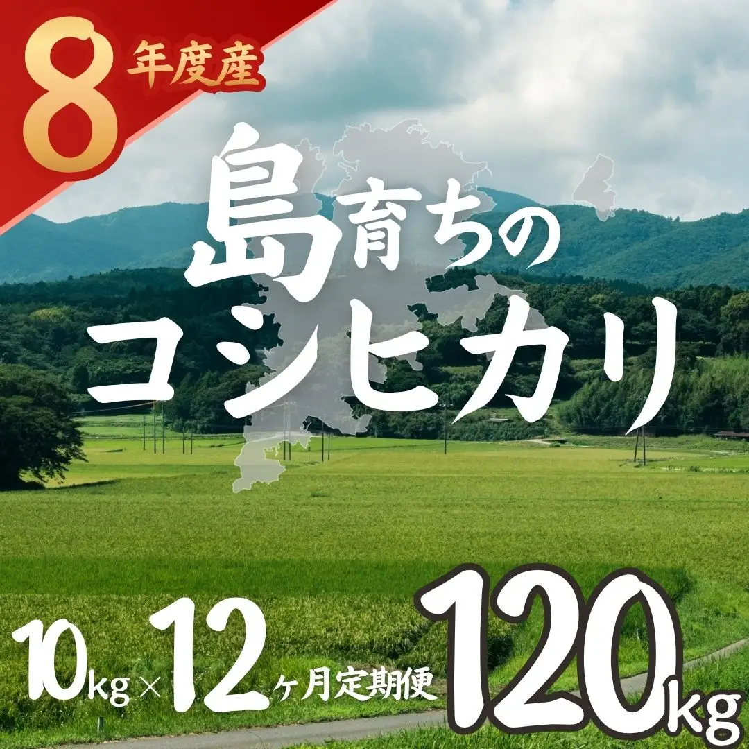 【令和8年度産】お米 コシヒカリ 10kg×12か月  精米