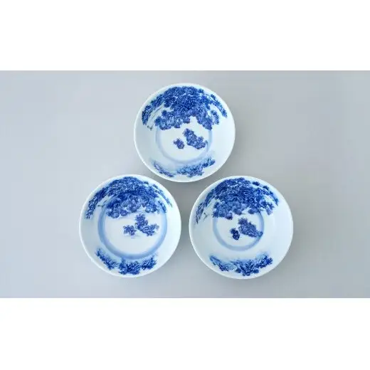 有田焼 山水絵 浅平鉢【起山窯】食器 器 うつわ 鉢 17センチ 手描き 染付 山水絵 ギフト プレゼント co020