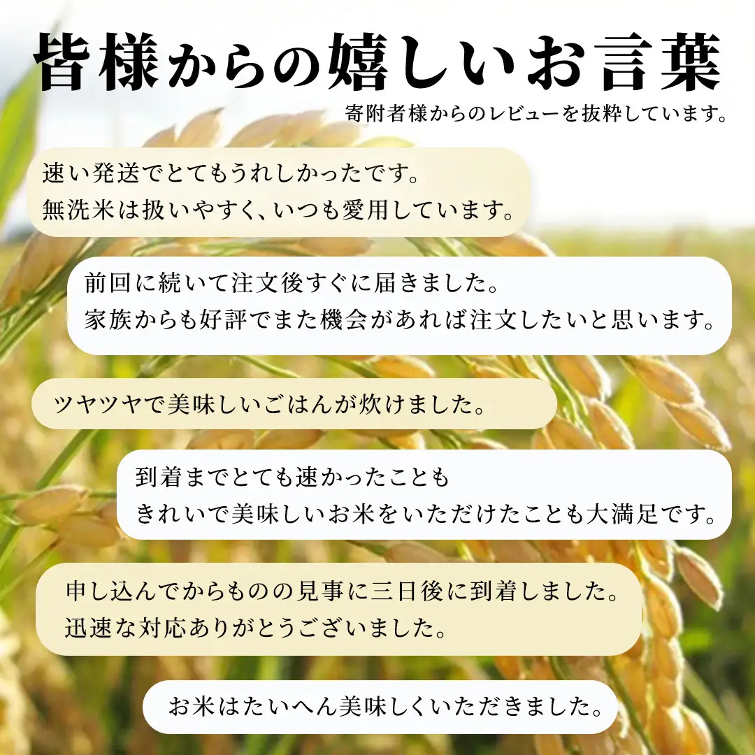 12ヵ月定期便【無洗米】コシヒカリ ホタル米 10kg × 12回 令和8年産[AX091]