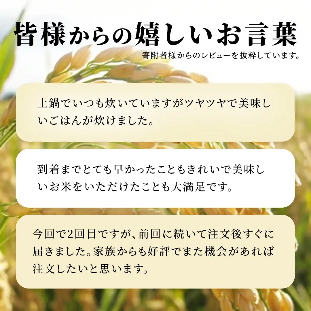 【12ヵ月 定期便】 コシヒカリ 10kg ×12回 令和8年産 [AX089]