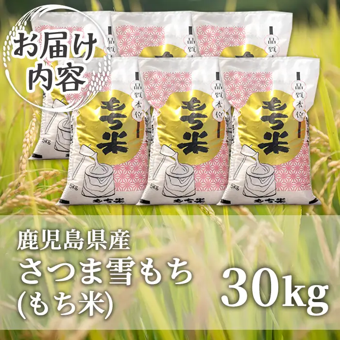 isa1112 ＜先行予約受付中！2026年11月中旬以降順次発送＞令和8年産 新米 鹿児島県産もち米(30kg) 国産 鹿児島県 餅米 お米 新米 おはぎ 赤飯 おこわ 伊佐米 【赤崎農園】