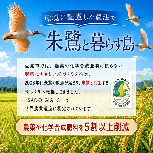 【令和8年】佐渡産にじのきらめき 精米10kg 栽培期間中 農薬・化学肥料不使用 矢田農園