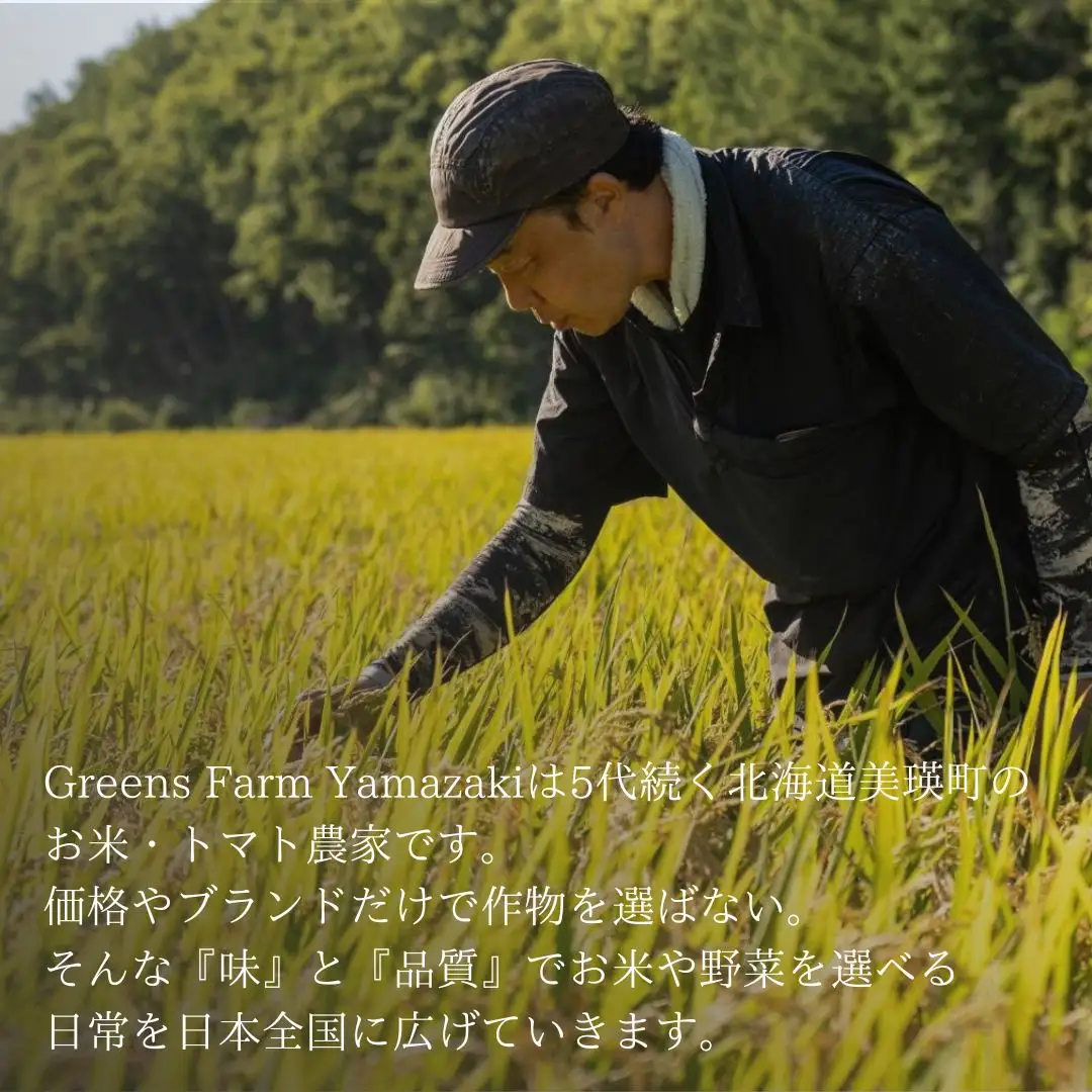 【6回定期便】 ゆめぴりか 1kg 定期便 豊栄米 北海道 精米 ゆめぴりか【令和8年産】