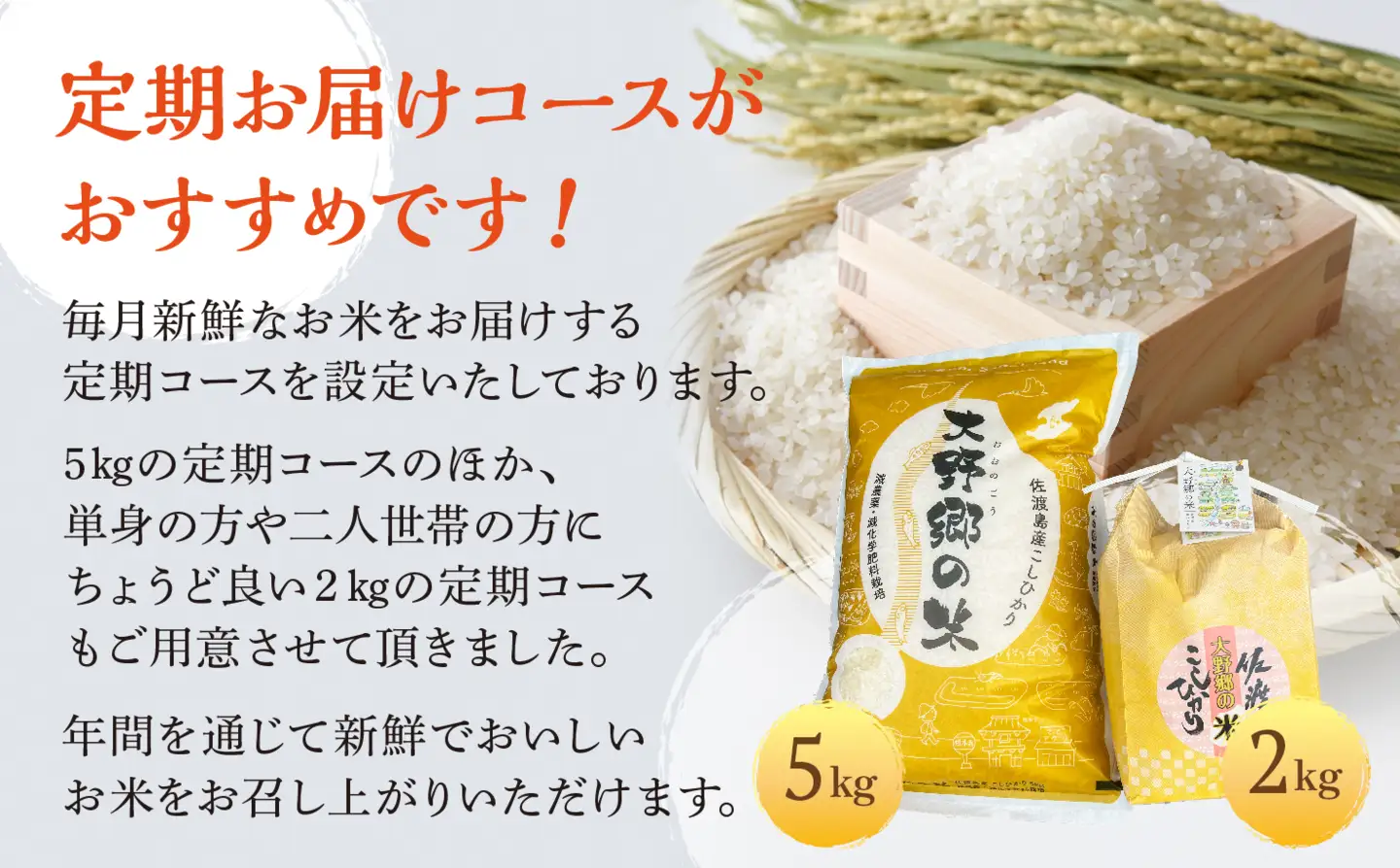 【定期便 3回 】コシヒカリ 精米 2kg 計6キロ | 新潟県 佐渡市 コシヒカリ