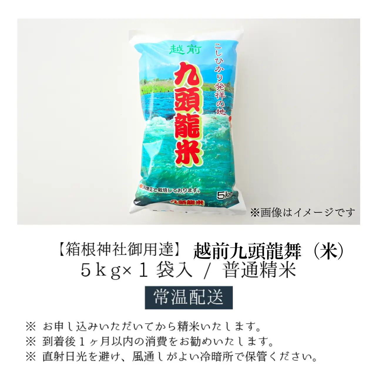 米 越前九頭龍舞 精米 5kg 令和8年産 米