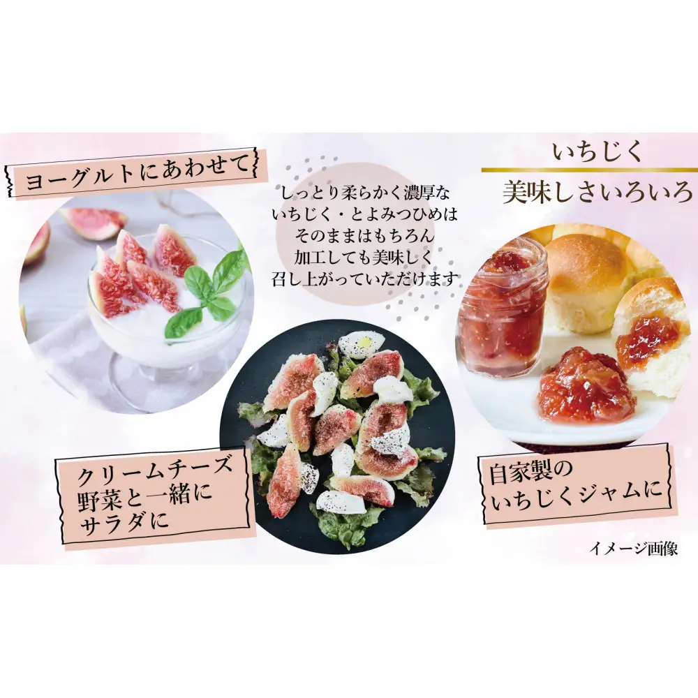【定期便3回】【先行予約】【福岡限定ブランド】いちじく とよみつひめ 300g×4パック (約1.2kg)※2027年8月以降発送