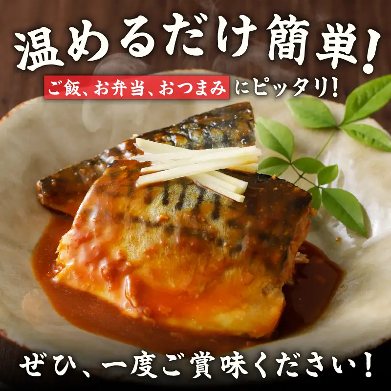 【先行予約】サバの味噌煮 10食 合計800g