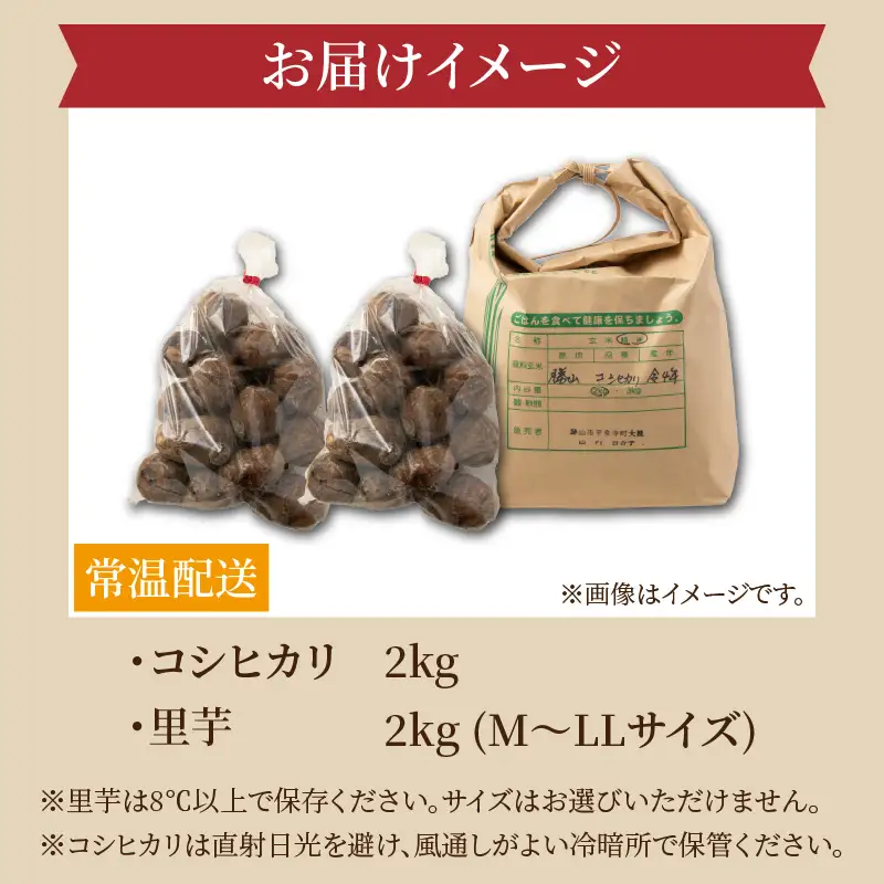 コシヒカリ 2kg 里芋 2kg セット コシヒカリ