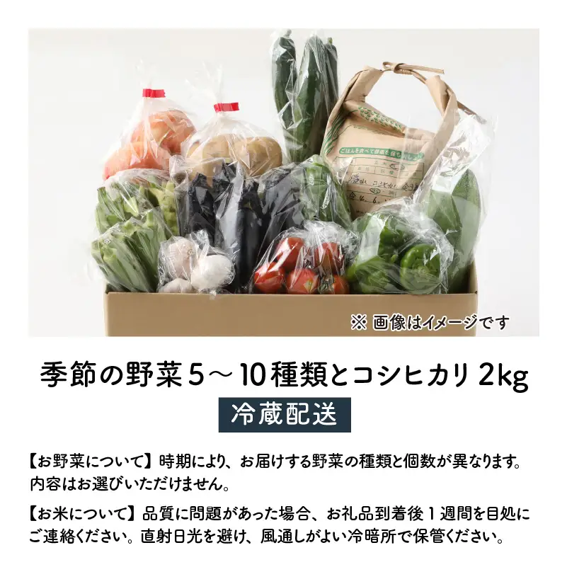 コシヒカリ 2kg 季節の野菜 5～10種類 セット コシヒカリ