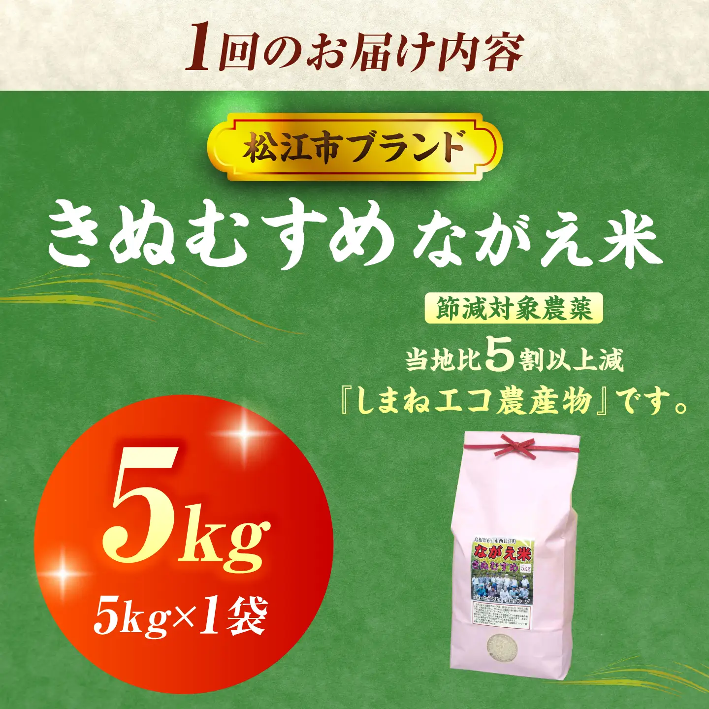 令和8年産 新米 きぬむすめ 5kg 3回定期便 新米[ALCG015-R83]