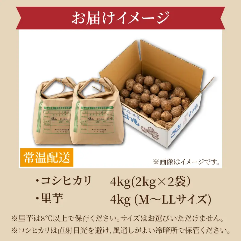 コシヒカリ 4kg 里芋 4kg セット コシヒカリ