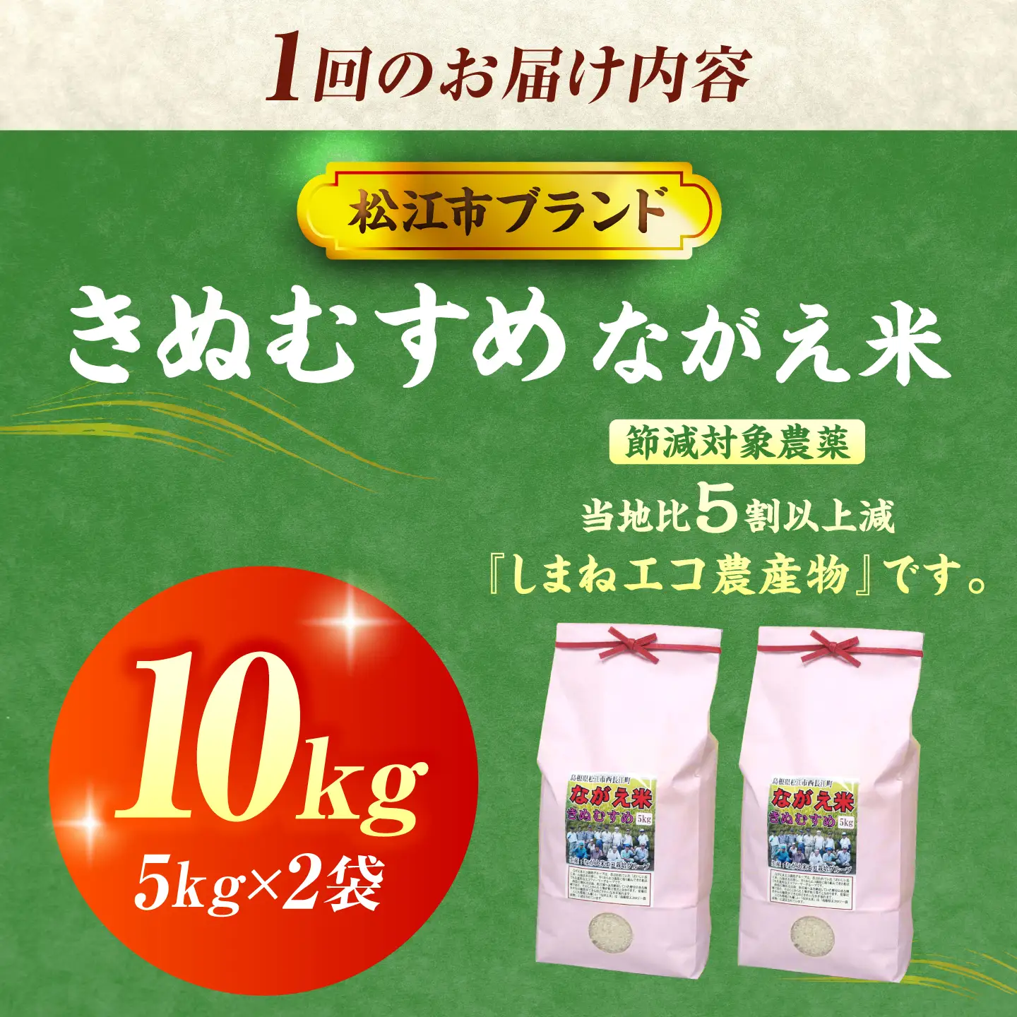 令和8年産 新米 きぬむすめ 10kg 3回定期便 新米[ALCG001-R83]