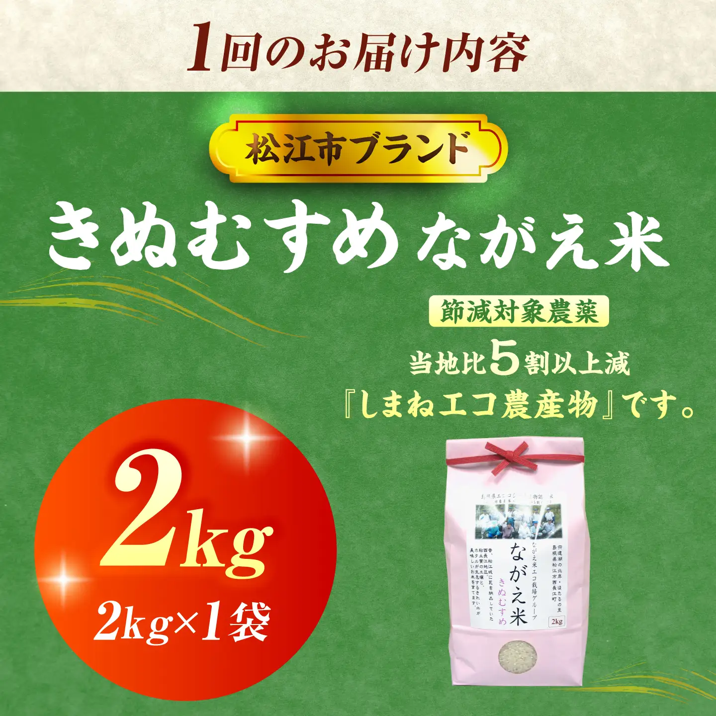 令和8年産 新米 きぬむすめ 2kg 6回定期便 新米[ALCG014-R86]