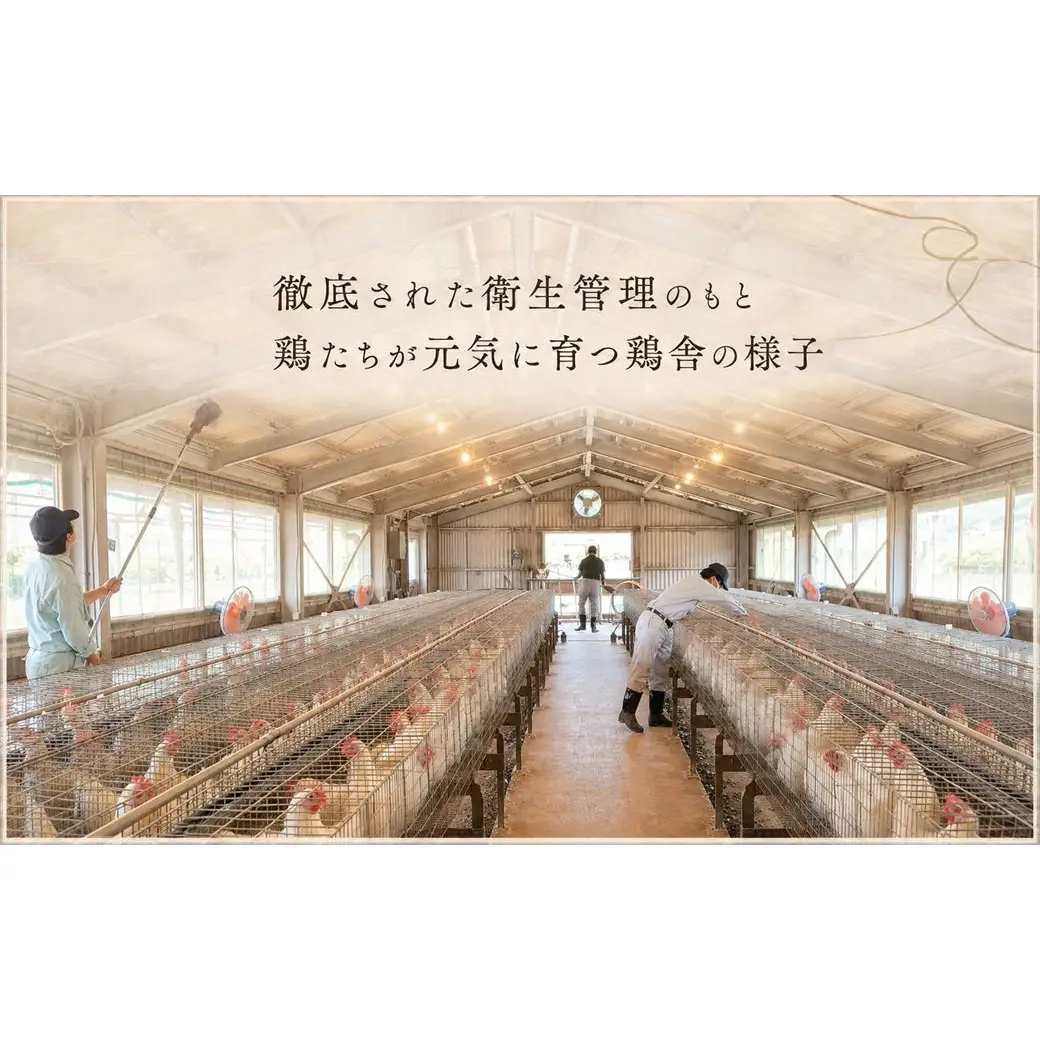 【卵フェス2025全国3位】佐用高校ブランド卵「さよたま」新鮮たまご (計30個・10個入り×3パック) 兵庫県佐用町産 鶏卵 卵かけご飯 さよたま