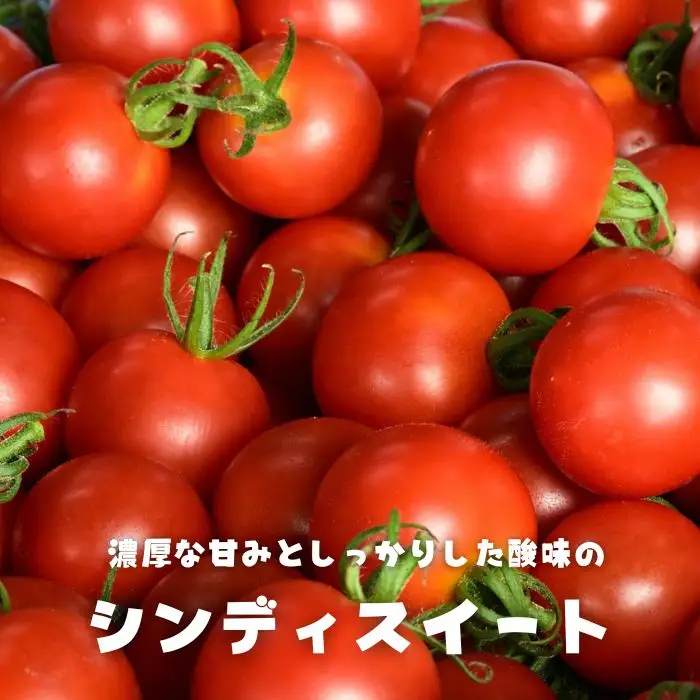 江口農園　驚くほど甘い！トマトジュース　150ml×5本　飲みきりサイズ　北海道産　食塩無添加　アイコ・シンディースイート使用