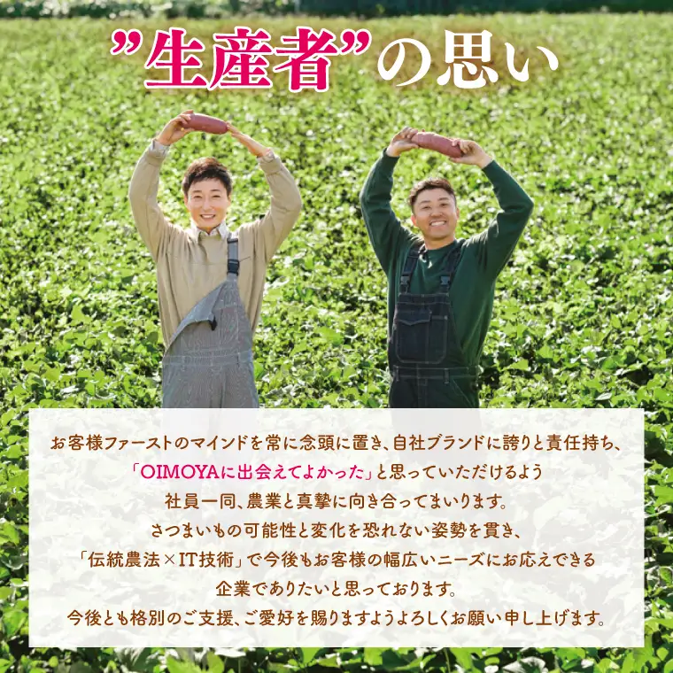 熟成 紅はるか生芋 Mサイズ 混合 5kg（IN-18)