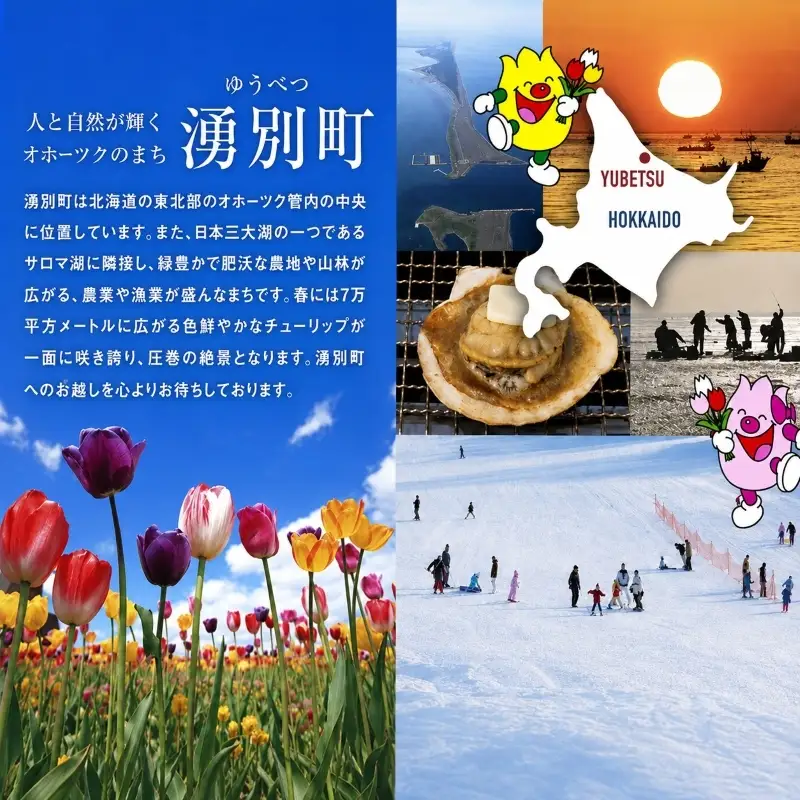 北海道 湧別町産 エゾ鹿肉 ロース (ブロック) 1kg  伊藤産業【 お肉 ジビエ 鹿 しか肉 シカ肉 エゾシカ エゾシカ肉 ロース肉 エゾ鹿 冷凍 低カロリー ヘルシー 国産 産地直送 オホーツク 】