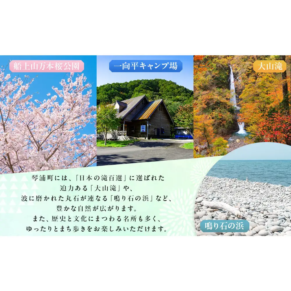 訳あり　琴浦町産シャインマスカット（粒パック）1kg（500g×2）