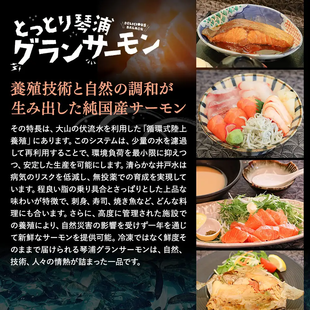 【訳あり】琴浦グランサーモンのサイコロカット150g×５パック