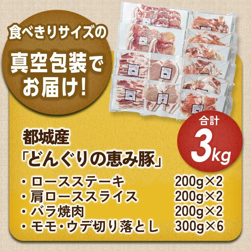 「どんぐりの恵み豚」真空バラエティ3kgセット〔17-1101〕_(都城市) 銘柄豚肉 どんぐりの恵み ロースステーキ バラ焼肉 肩ローススライス モモ ウデ切落とし 200g 300g